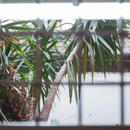 Centro Storico Luxury